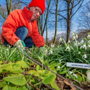 Heemtuin