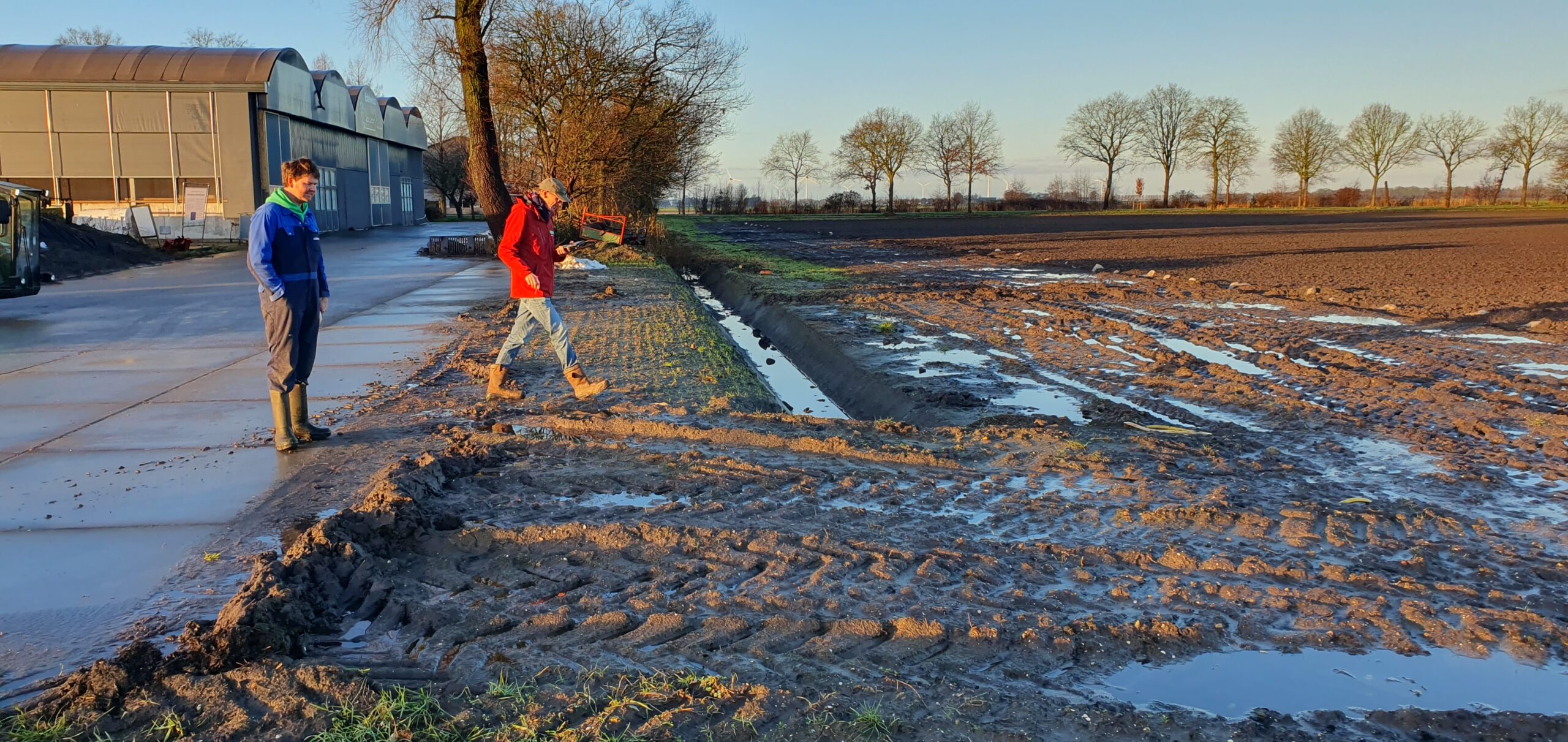 advies erfsingel op boerenerf